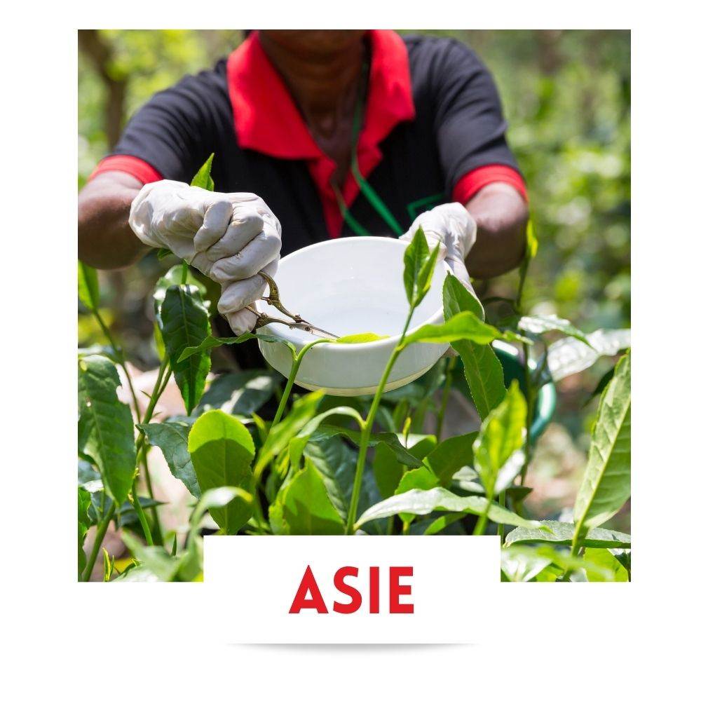 artisanat asie