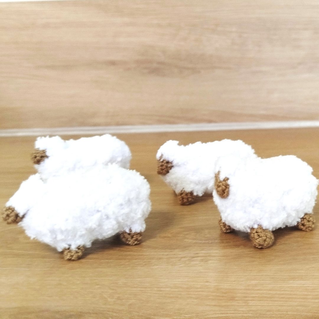 moutons de l'Avent
